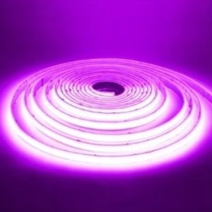 Taśma LED PREMIUM COB RGBW 784LED/m 12V DC 19W/m neon linia ciągła (rolka 5m)